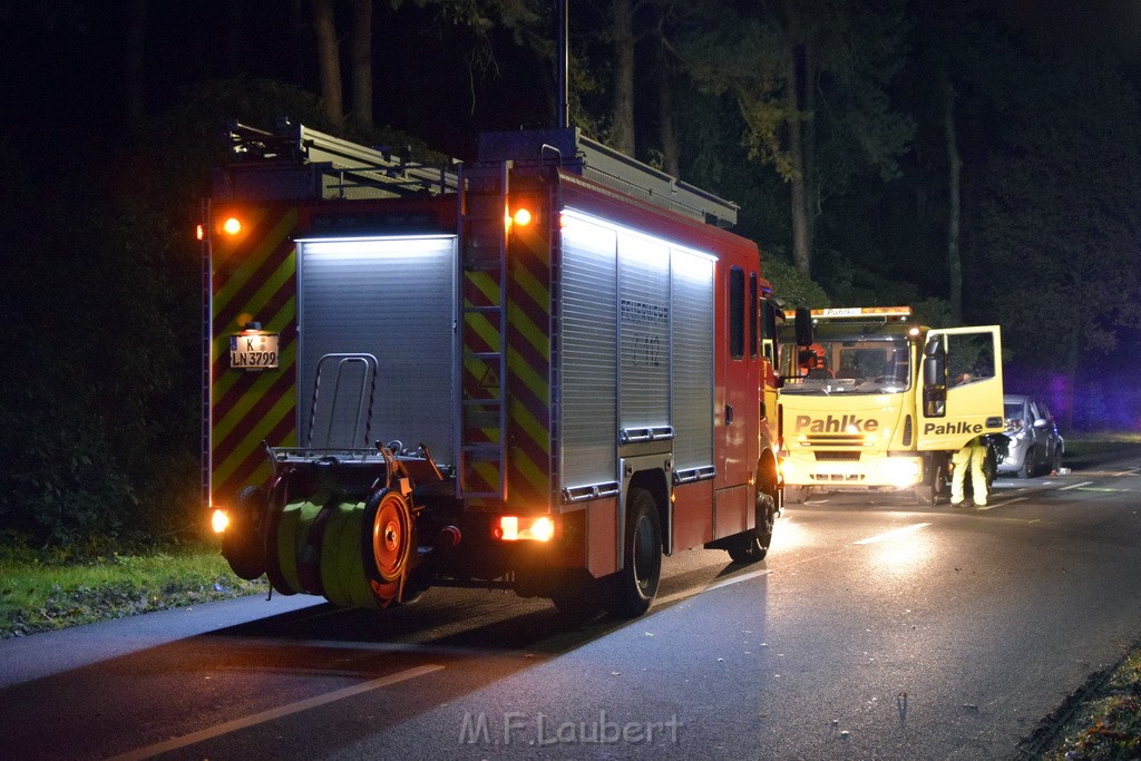 VU Koeln Dellbrueck Kalkweg Duennwalder Mauspfad P05.JPG - Miklos Laubert